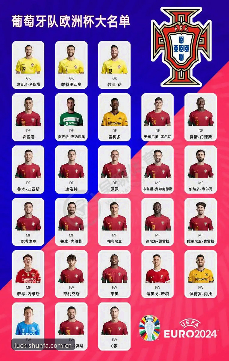 顺发娱乐平台看世界杯：约旦土耳其球迷签证受阻观赛攻略